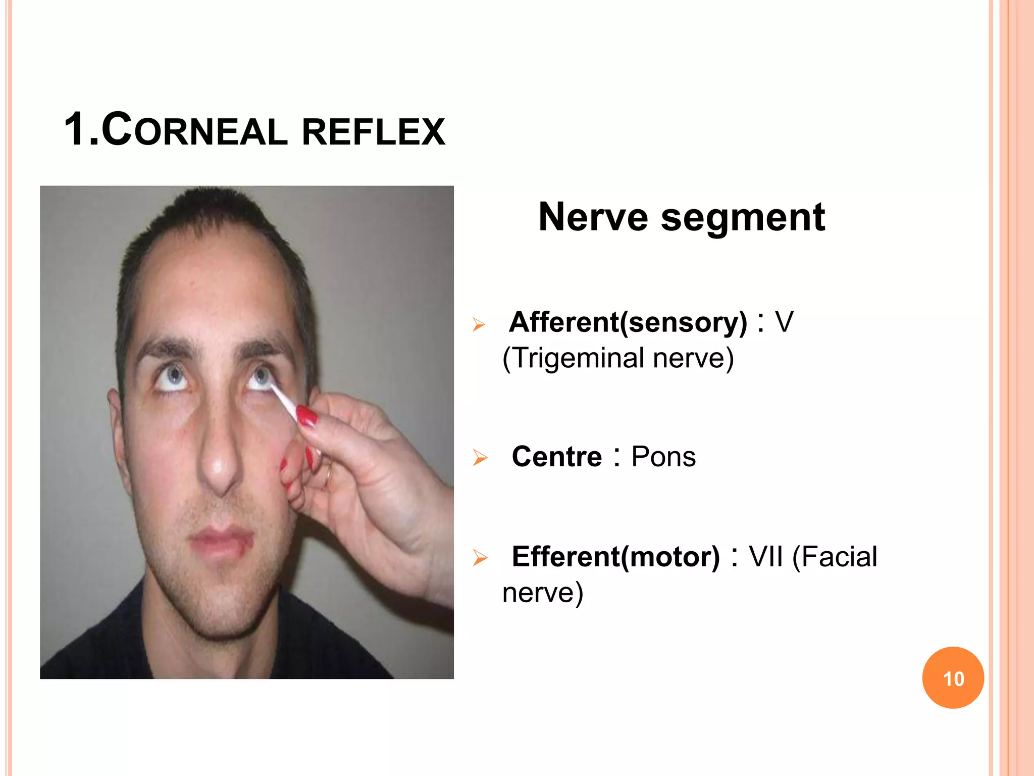 1.CORNEAL REFLEX
Nerve segment
 Afferent(sensory) : V
(Trigeminal nerve)
 Centre : Pons
 Efferent(motor) : VII (Facial
nerve)
10
 
