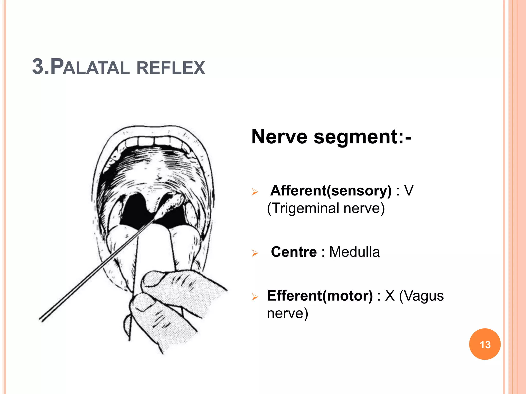 3.PALATAL REFLEX
Nerve segment:-
 Afferent(sensory) : V
(Trigeminal nerve)
 Centre : Medulla
 Efferent(motor) : X (Vagus
nerve)
13
 