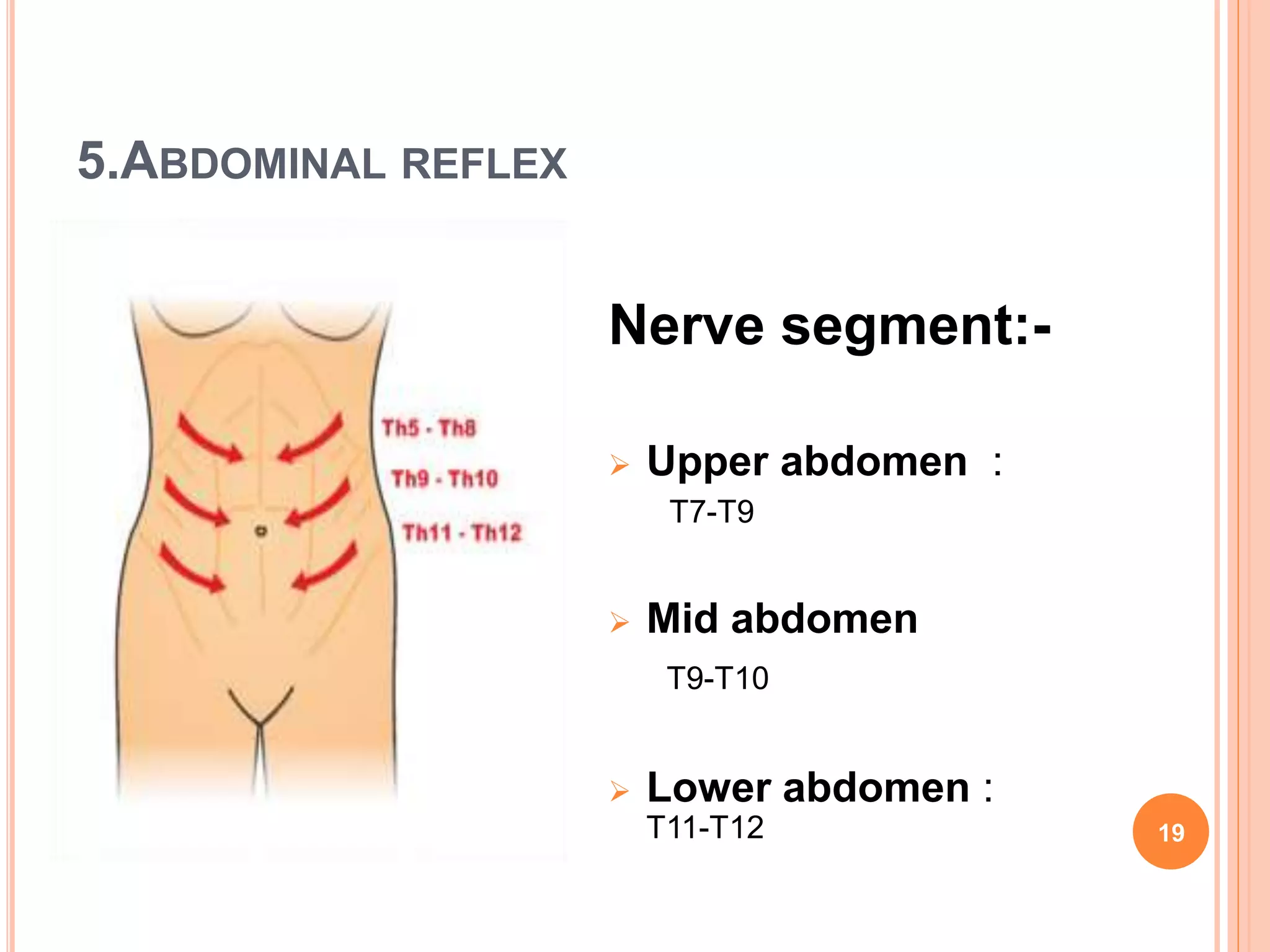 5.ABDOMINAL REFLEX
Nerve segment:-
 Upper abdomen :
T7-T9
 Mid abdomen
T9-T10
 Lower abdomen :
T11-T12 19
 