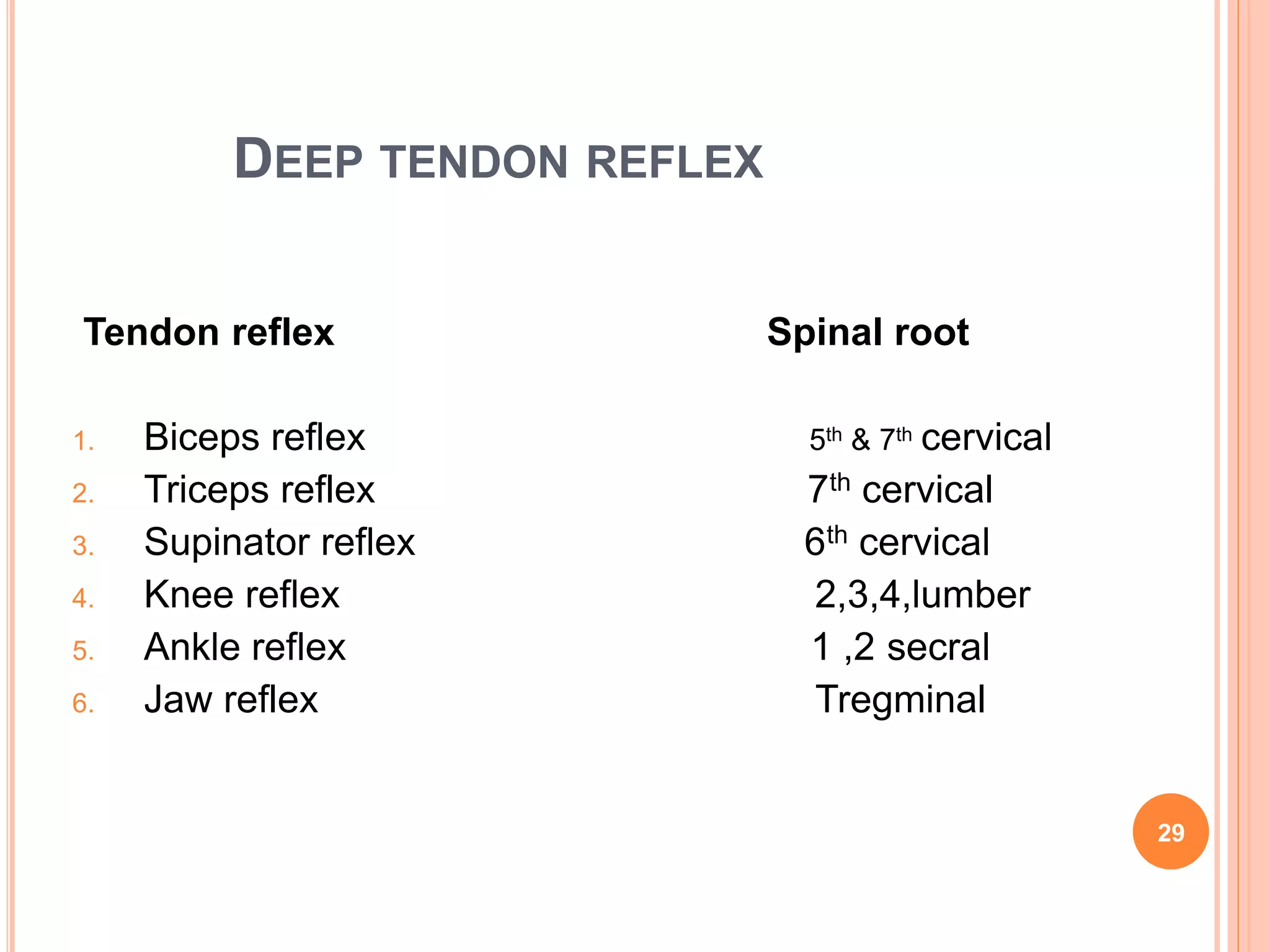 DEEP TENDON REFLEX
29
Tendon reflex Spinal root
1. Biceps reflex 5th & 7th cervical
2. Triceps reflex 7th cervical
3. Supinator reflex 6th cervical
4. Knee reflex 2,3,4,lumber
5. Ankle reflex 1 ,2 secral
6. Jaw reflex Tregminal
 