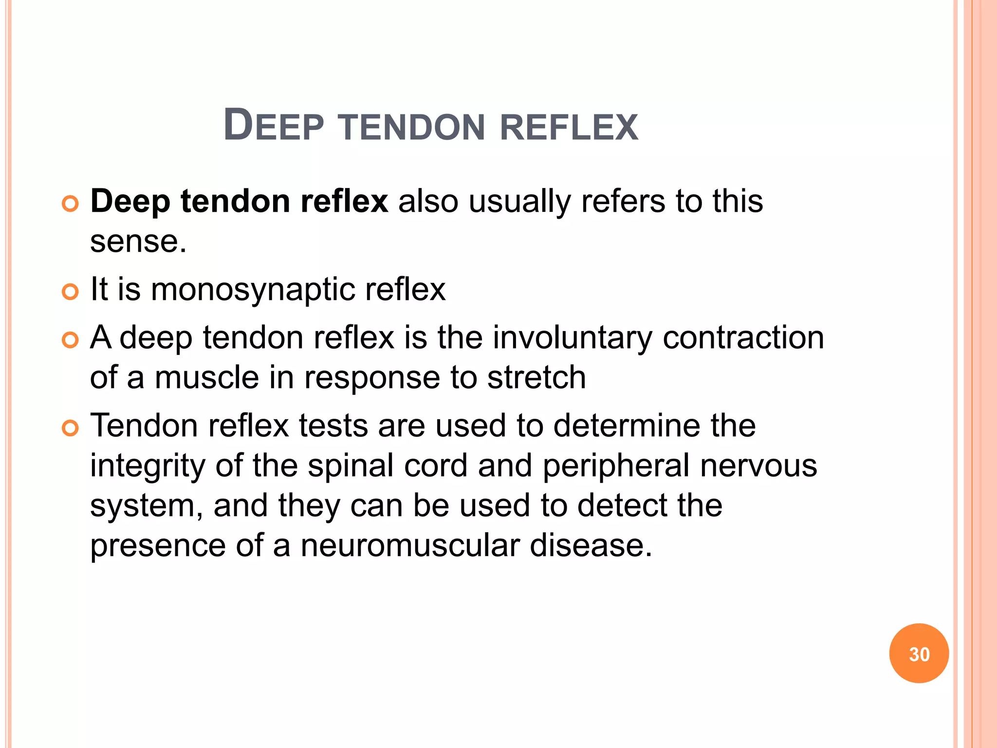DEEP TENDON REFLEX
 Deep tendon reflex also usually refers to this
sense.
 It is monosynaptic reflex
 A deep tendon reflex is the involuntary contraction
of a muscle in response to stretch
 Tendon reflex tests are used to determine the
integrity of the spinal cord and peripheral nervous
system, and they can be used to detect the
presence of a neuromuscular disease.
30
 