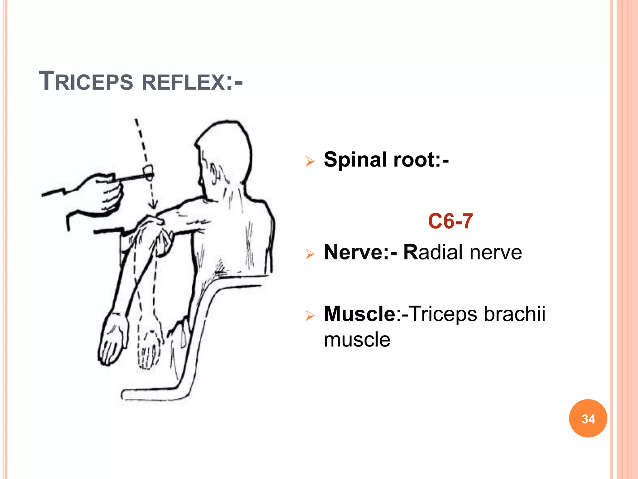 TRICEPS REFLEX:-
 Spinal root:-
C6-7
 Nerve:- Radial nerve
 Muscle:-Triceps brachii
muscle
34
 