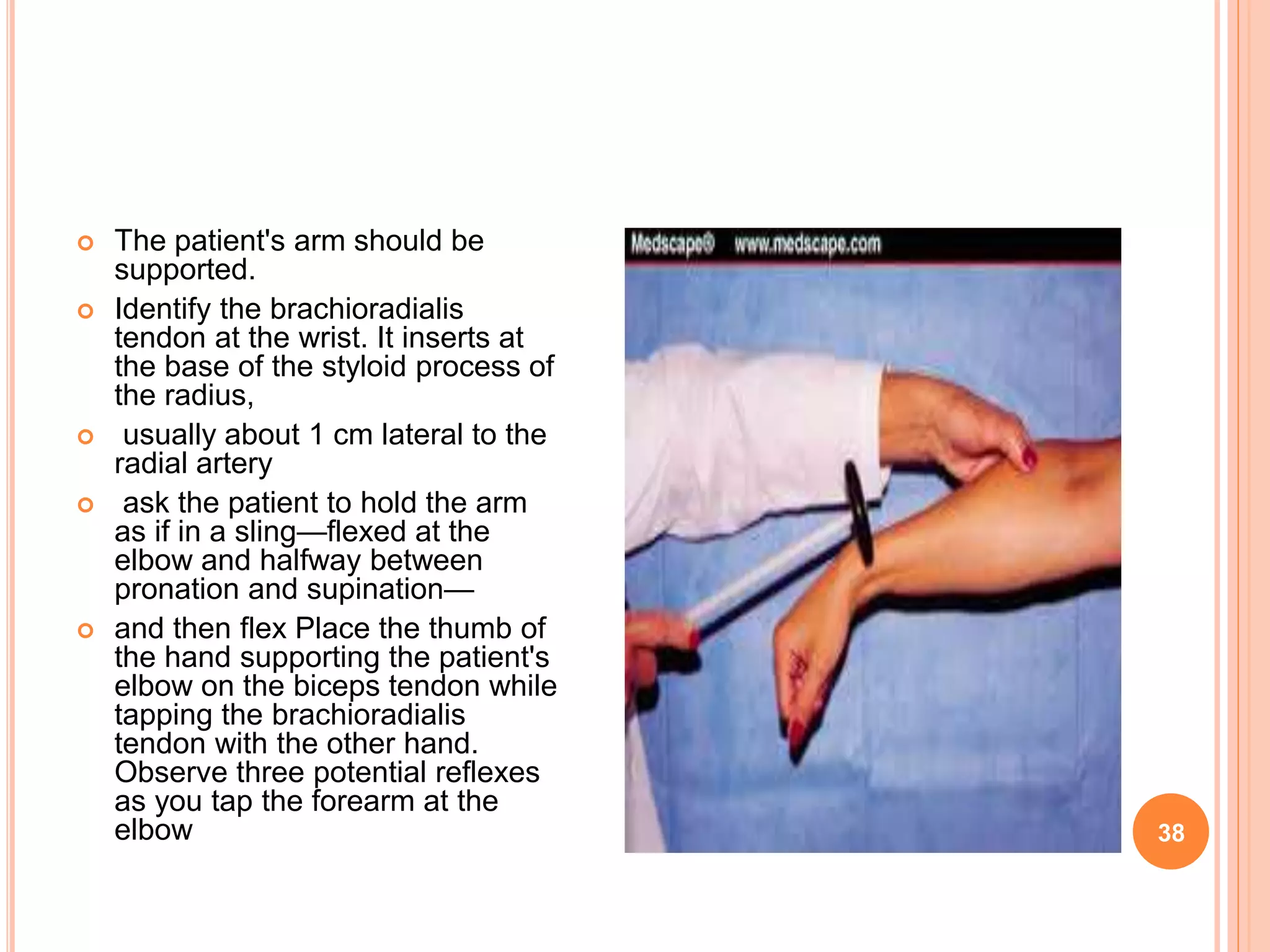  The patient's arm should be
supported.
 Identify the brachioradialis
tendon at the wrist. It inserts at
the base of the styloid process of
the radius,
 usually about 1 cm lateral to the
radial artery
 ask the patient to hold the arm
as if in a sling—flexed at the
elbow and halfway between
pronation and supination—
 and then flex Place the thumb of
the hand supporting the patient's
elbow on the biceps tendon while
tapping the brachioradialis
tendon with the other hand.
Observe three potential reflexes
as you tap the forearm at the
elbow 38
 