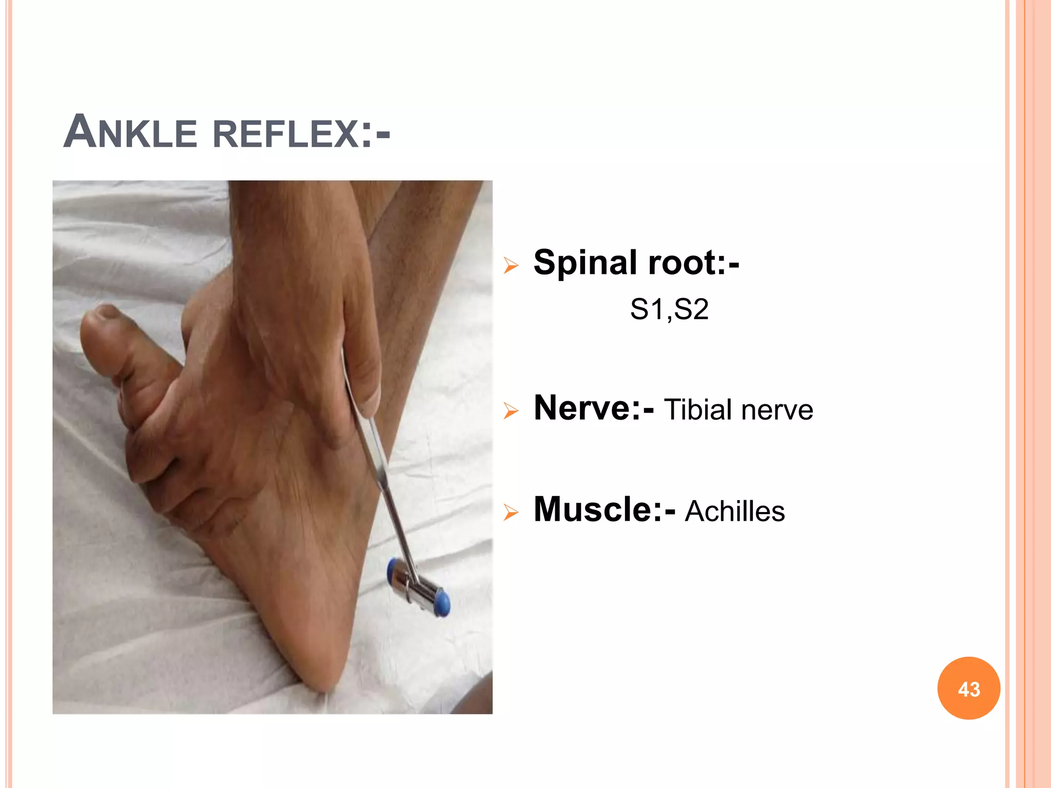 ANKLE REFLEX:-
 Spinal root:-
S1,S2
 Nerve:- Tibial nerve
 Muscle:- Achilles
43
 