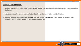 Jens Martensson 15Kaushal Sharma
VESICULAR TRANSPORT
• Vesicles leaving RER transported to the cis face of GA, fuse with the membrane and empty the contents into
the lumen.
• Molecules inside the lumen are modified and sorted for transport to the next destination.
• Proteins destined for places other than ER and GA, moves to trans face. Gets placed on either of the 3
vesicles, i.e. Exocytotic , Secretory and Lysosomal vesicles.
 