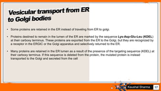 Jens Martensson 17Kaushal Sharma
• Some proteins are retained in the ER instead of traveling from ER to golgi.
• Proteins destined to remain in the lumen of the ER are marked by the sequence Lys-Asp-Glu-Leu (KDEL)
at their carboxy terminus. These proteins are exported from the ER to the Golgi, but they are recognized by
a receptor in the ERGIC or the Golgi apparatus and selectively returned to the ER.
• Many proteins are retained in the ER lumen as a result of the presence of the targeting sequence (KDEL) at
their carboxy terminus. If this sequence is deleted from the protein, the mutated protein is instead
transported to the Golgi and secreted from the cell
 