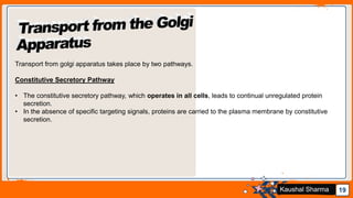 Jens Martensson 19Kaushal Sharma
Transport from golgi apparatus takes place by two pathways.
Constitutive Secretory Pathway
• The constitutive secretory pathway, which operates in all cells, leads to continual unregulated protein
secretion.
• In the absence of specific targeting signals, proteins are carried to the plasma membrane by constitutive
secretion.
 