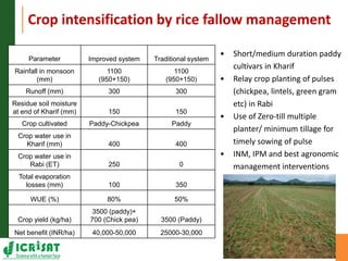 Asia Regional Program Planning Meeting- Water scarcity and low water use efficiency:Challenges and opportunities-- by Dr Kaushal K Garg