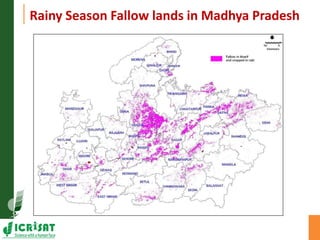 Asia Regional Program Planning Meeting- Water scarcity and low water use efficiency:Challenges and opportunities-- by Dr Kaushal K Garg
