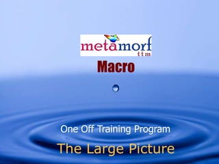 Macro



One Off Training Program

The Large Picture
 