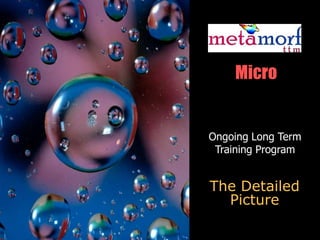 Micro


Ongoing Long Term
 Training Program


The Detailed
  Picture
 