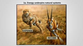 1a. Energy underpins natural systems
 