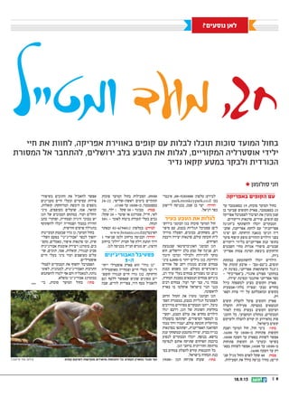 || 818.9.13
?‫נוסעים‬ ‫לאן‬
‫חיי‬ ‫את‬ ‫לחוות‬ ,‫אפריקה‬ ‫באווירת‬ ‫קופים‬ ‫עם‬ ‫לבלות‬ ‫תוכלו‬ ‫סוכות‬ ‫המועד‬ ‫בחול‬
‫המסורת‬ ‫אל‬ ‫להתחבר‬ ,‫ירושלים‬ ‫בלב‬ ‫הטבע‬ ‫את‬ ‫לגלות‬ ,‫המקוריים‬ ‫אוסטרליה‬ ‫ילידי‬
‫נדיר‬ ‫קקאו‬ ‫במטע‬ ‫ולבקר‬ ‫הכורדית‬
‫יל‬‫י‬‫ט‬‫ומ‬‫מועד‬,‫ג‬‫ח‬
‫באפריקה‬ ‫הקופים‬ ‫עם‬
‫עד‬ ‫בספטמבר‬ 19 ,‫סוכות‬ ‫המועד‬ ‫בחול‬
‫בן‬ ‫שביער‬ ‫הקופים‬ ‫פארק‬ ,‫בספטמבר‬ 25
‫אפריקה‬ ‫לפסטיבל‬ ‫הציבור‬ ‫את‬ ‫מזמין‬ ‫שמן‬
.‫וריקודים‬ ‫סדנאות‬ ,‫שירים‬ ,‫תופים‬ ‫עם‬
‫בחגיגה‬ ‫להשתתף‬ ‫יוכלו‬ ‫המבקרים‬
‫שחב‬ ,‫אפריקנה‬ ‫להקת‬ ‫עם‬ ‫אפריקנית‬‫א‬
‫יציגו‬ ‫הם‬ .‫הרחוקה‬ ‫מגאנה‬ ‫הגיעו‬ ‫ריה‬
‫סוער‬ ‫תיפוף‬ ‫מופע‬ ‫וההורים‬ ‫הילדים‬ ‫בפני‬
‫ריקודים‬ ‫בליווי‬ ‫אפריקניים‬ ‫ענק‬ ‫בתופי‬
‫השבטים‬ ‫מחיי‬ ‫אגדות‬ ‫סיפורי‬ ,‫שבטיים‬
‫אפריק‬ ‫צמות‬ ‫וסדנת‬ ‫ביבשת‬ ‫הרחוקים‬‫א‬
.‫ניות‬
‫בבקתת‬ ‫להשתעשע‬ ‫יוכלו‬ ‫הילדים‬
‫של‬ ‫קומות‬ ‫ארבע‬ – ‫בטם-טם‬ ,‫תופים‬
,‫חי‬ ‫בפינת‬ ,‫אפריקני‬ ‫הרפתקאות‬ ‫ג'ונגל‬
- ‫באפריכיף‬ ,‫אתגרי‬ ‫ספורט‬ ‫במתקני‬
.‫יצירה‬ ‫ובפינת‬ ‫אותנטי‬ ‫אפריקני‬ ‫כפר‬
‫טיול‬ ‫למשפחה‬ ‫מציע‬ ‫הקופים‬ ‫פארק‬
‫בלתי-אמצעית‬ ‫וצפייה‬ ‫טבעי‬ ‫בחורש‬
‫הפא‬ ‫צוות‬ ‫ידי‬ ‫על‬ ‫ובהאכלתם‬ ‫בקופים‬‫א‬
.‫רק‬
‫קופים‬ ‫להצלת‬ ‫פועל‬ ‫הקופים‬ ‫פארק‬
‫ההצלה‬ ‫פעילות‬ .‫במצוקה‬ ‫הנמצאים‬
‫לאזור‬ ‫מחוץ‬ ‫נעשית‬ ‫הקופים‬ ‫ושיקום‬
‫ההכנ‬ ‫כל‬ .‫המקצועי‬ ‫במקלט‬ ,‫המבקרים‬‫א‬
‫ולשיקום‬ ‫להצלה‬ ‫קודש‬ ‫הן‬ ‫מהאירוע‬ ‫סות‬
.‫בישראל‬ ‫קופים‬
‫ושבת‬ ‫המועד‬ ‫חול‬ ,‫חול‬ ‫בימי‬ 	:‫מתי‬
.16:00 ‫עד‬ 10:00-‫מ‬ ‫פתוחות‬ ‫הקופות‬
.18:00 ‫השעה‬ ‫עד‬ ‫בפארק‬ ‫לשהות‬ ‫אפשר‬
‫פתוחות‬ ‫הקופות‬ ‫חג‬ ‫ובערבי‬ ‫בשישי‬
‫בפ�א‬ ‫לשהות‬ ‫אפשר‬ ,14:00 ‫עד‬ 10:00 ‫-מ‬-
.16:00 ‫השעה‬ ‫עד‬ ‫רק‬
‫ש�נ‬ ‫מגיל‬ ‫(החל‬ ‫לאדם‬ ‫שקל‬ 48 	: ‫כמה‬
.‫הפעילות‬ ‫את‬ ‫כולל‬ ‫כניסה‬ ‫מחיר‬ ,)‫תיים‬
‫אינט�ר‬ ,08-9285888 : ‫ן‬‫	טלפו‬:‫למידע‬
park.monkeypark.co.il :‫נט‬
‫ליישוב‬ ‫בכניסה‬ ,‫שמן‬ ‫בן‬ ‫יער‬ 	:‫הדרך‬
.‫דניאל‬ ‫כפר‬
‫בעיר‬ ‫הטבע‬ ‫את‬ ‫לגלות‬
‫בירוש‬ ‫הבוטני‬ ‫בגן‬ ‫סוכות‬ ‫המועד‬ ‫חול‬‫א‬
‫סיפו‬ ‫עם‬ ,‫בטבע‬ ‫תגליות‬ ‫פסטיבל‬ :‫לים‬‫א‬
‫מוזיק‬ ‫הפעלה‬ ,‫מבוכים‬ ,‫משחקים‬ ,‫רים‬‫א‬
‫ורכבת‬ ‫יצירה‬ ‫סדנאות‬ ,‫עולם‬ ‫חובקת‬ ‫לית‬
.‫הפרחים‬
‫שבגבעת‬ ‫האוניברסיטאי‬ ‫הבוטני‬ ‫הגן‬
‫הוא‬ ,‫ירושלים‬ ‫בלב‬ ‫טבע‬ ‫של‬ ‫פנינה‬ ,‫רם‬
‫חינוך‬ ‫ומרכז‬ ‫ולבילוי‬ ‫לתיירות‬ ‫מוקד‬
‫מיני‬ 6,000-‫מ‬ ‫יותר‬ ‫גדלים‬ ‫בגן‬ .‫והדרכה‬
‫אזורים‬ ‫של‬ ‫רחב‬ ‫ממגוון‬ ‫שונים‬ ‫צמחים‬
‫כבנק‬ ‫משמש‬ ‫הגן‬ .‫בעולם‬ ‫גיאוגרפיים‬
,‫רב‬ ‫ערך‬ ‫בעלי‬ ‫צמחים‬ ‫נשמרים‬ ‫ובו‬ ‫גנים‬
,‫הכחדה‬ ‫בסכנת‬ ‫הנמצאים‬ ‫צמחים‬ ‫ביניהם‬
‫רבים‬ ‫צמחים‬ .‫ועוד‬ ‫יער‬ ‫עצי‬ ,‫נוי‬ ‫צמחי‬
‫בארץ‬ ‫בו‬ ‫אוקלמו‬ ‫בישראל‬ ‫הנוי‬ ‫בגני‬
.‫לראשונה‬
‫הרחב‬ ‫הקהל‬ ‫את‬ ‫מזמין‬ ‫הבוטני‬ ‫הגן‬
‫הפס‬ ‫במסגרת‬ ,‫בטבע‬ ‫תגליות‬ ‫לפסטיבל‬‫א‬
‫מודרכים‬ ‫מסיורים‬ ‫המבקרים‬ ‫ייהנו‬ ,‫טיבל‬
‫יגלו‬ ‫דרכם‬ ,‫הגן‬ ‫של‬ ‫השונות‬ ‫בחלקות‬
‫יקשי‬ ,‫הטבע‬ ‫עולם‬ ‫את‬ ‫מחדש‬ ‫הילדים‬‫א‬
‫בהפעלה‬ ‫ישתתפו‬ ,‫הסיפורים‬ ‫למספר‬ ‫בו‬
‫מבוך‬ ‫דרך‬ ‫יעברו‬ ,‫עולם‬ ‫חובקת‬ ‫מוזיקלית‬
‫בסדנאות‬ ‫ישתתפו‬ ,‫האפריקנית‬ ‫הסוואנה‬
‫ענק‬ ‫ובמשחקי‬ ‫מהטבע‬ ‫יצירה‬ ,‫בבוץ‬ ‫בנייה‬
‫לנסוע‬ ‫המבקרים‬ ‫יוכלו‬ ,‫בנוסף‬ .‫בדשא‬
‫לנסיעה‬ ‫אותם‬ ‫שתיקח‬ ‫הפרחים‬ ‫ברכבת‬
.‫הגן‬ ‫ברחבי‬ ‫וחווייתית‬ ‫מרתקת‬
‫בס‬ ‫צמחים‬ ‫להצלת‬ ‫קודש‬ ‫ההכנסות‬ ‫כל‬‫א‬
.‫בישראל‬ ‫הכחדה‬ ‫כנת‬
19:00- :‫הגן‬ ‫פתיחת‬ ‫שעות‬ 	:‫מתי‬
‫סוכות‬ ‫המועד‬ ‫בחול‬ ‫הפעילות‬ ,09:00
24-22 ,‫ראשון-שלישי‬ ‫בימים‬ ‫תתקיים‬
.17:00 ‫עד‬ 10:00-‫מ‬ ,‫בספטמבר‬
‫ג�מ‬ ,‫ילד‬ ; 	‫ל‬‫שק‬ 30 – ‫מבוגר‬ :	‫כמה‬
;‫שקל‬ 20 - ‫שוטר‬ ‫או‬ ‫סטודנט‬ ,‫חייל‬ ,‫לאי‬
50% – ‫לאומי‬ ‫ביטוח‬ ‫תעודת‬ ‫בעלי‬ ‫נכים‬
.‫הנחה‬
‫ובאתר‬ 02-6794012 :‫בטלפון‬ :‫למידע‬
www.botanic.co.il:‫האינטרנט‬
1 ‫שניאור‬ ‫זלמן‬ ‫מרחוב‬ ‫הכניסה‬ :‫הדרך‬
‫ברחוב‬ ‫דלק‬ ‫חברת‬ ‫של‬ ‫דלק‬ ‫תחנת‬ ‫דרך‬
.‫לגן‬ ‫בכניסה‬ ‫חנייה‬ ‫מגרש‬ ‫יש‬ ,‫הרצוג‬
‫האבוריג'ינים‬ ‫פסטיבל‬
3-‫ה‬
‫ייחו‬ ‫אוסטרלי‬ ‫פארק‬ ‫הוא‬ ‫גורו‬ ‫גן‬‫א‬
‫מאוסטרליה‬ ‫וצמחייה‬ ‫חיים‬ ‫בעלי‬ ‫ובו‬ ‫די‬
‫חופש‬ ‫קנגורו‬ ‫חיים‬ ‫גורו‬ ‫בגן‬ .‫הרחוקה‬‫א‬
‫וגם‬ ‫ללטף‬ ‫שאפשר‬ ‫שונים‬ ‫מסוגים‬ ‫יים‬
‫שבה‬ ,‫לורים‬ ‫צפריית‬ ,‫היד‬ ‫מכף‬ ‫להאכיל‬
‫בשיפודי‬ ‫התוכים‬ ‫את‬ ‫להאכיל‬ ‫אפשר‬
‫מעניינים‬ ‫חיים‬ ‫ובעלי‬ ‫עסיסיים‬ ‫פירות‬
,‫קואלות‬ :‫המרוחקת‬ ‫היבשת‬ ‫מן‬ ‫נוספים‬
‫מיני‬ ,‫מעופפים‬ ‫שועלים‬ ,‫אמו‬ ,‫קזואר‬
‫הגן‬ ‫של‬ ‫המבוכים‬ ‫במתחם‬ .‫ועוד‬ ‫זוחלים‬
‫כתב‬ ‫ופותרי‬ ,‫וצמחייה‬ ‫היגיון‬ ‫מבוכי‬ ‫יש‬
‫להשתתף‬ ‫יוכלו‬ ‫הצמחייה‬ ‫במבוך‬ ‫החידה‬
.‫חודשית‬ ‫פרסים‬ ‫בהגרלה‬
‫המעיינות‬ ‫שבעמק‬ ‫גורו‬ ‫גן‬ ,‫המועד‬ ‫בחול‬
‫השלי‬ ‫בפעם‬ ‫אבוריג'יני‬ ‫לכפר‬ ‫יהפוך‬‫א‬
‫מקצ‬ ,‫מאכלים‬ ,‫איפור‬ ‫סדנאות‬ ‫ובו‬ ,‫שית‬‫א‬
‫אבורג'ינית‬ ‫אומנות‬ ‫ויצירת‬ ‫בומרנג‬ ,‫בים‬
‫שו‬ ,‫תוכים‬ ,‫אמו‬ ,‫קואלות‬ ,‫קנגורו‬ ‫סביב‬‫א‬
‫חיים‬ ‫בעלי‬ ‫מיני‬ ‫ועוד‬ ‫מעופפים‬ ‫עלים‬
.‫אוסטרליים‬
‫לסמלי‬ ‫המבקרים‬ ‫את‬ ‫יחשוף‬ ‫הפסטיבל‬
‫לאומ‬ ,‫למנהגיה‬ ,‫האבוריג'ינית‬ ‫התרבות‬‫א‬
‫להשתמש‬ ‫ילמדו‬ ‫אף‬ ‫והם‬ ‫למאכליה‬ ,‫נותה‬
.‫מופלא‬ ‫אבוריג'יני‬ ‫בבומרנג‬
‫ב�י‬ ,‫סוכות‬ ‫המועד‬ ‫בחול‬ 	‫מת:י‬:
 ‫סולומון‬ ‫חני‬
‫אייזנברג‬ ‫צחי‬ :‫צילום‬ ‫קופים‬ ‫לשיקום‬ ‫מוקדשות‬ ‫מהאירוע‬ ‫ההכנסות‬ ‫כל‬ .‫הקופים‬ ‫בפארק‬ ‫מנגבי‬ ‫קוף‬
 