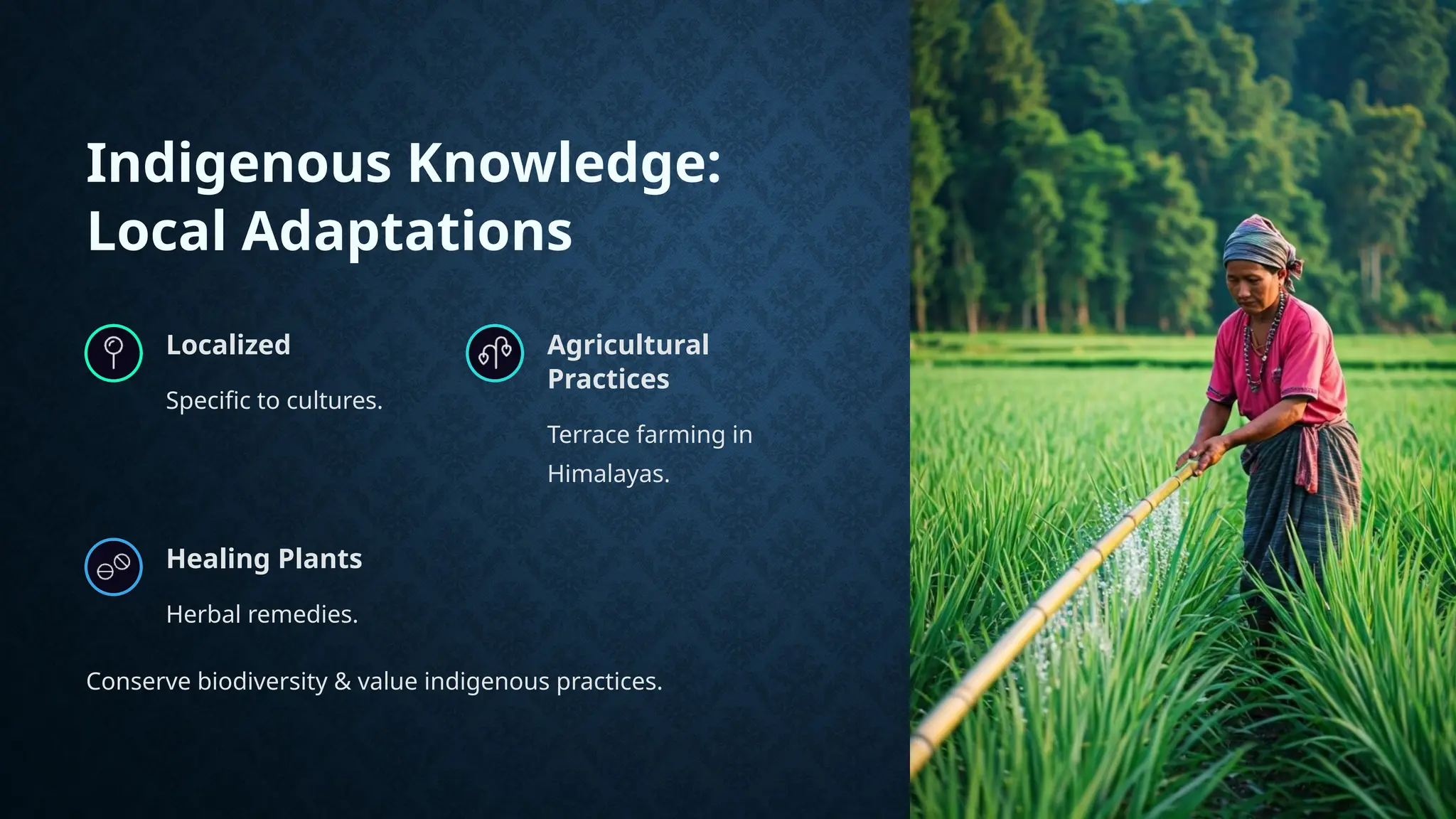 Indigenous Knowledge:
Local Adaptations
Localized
Specific to cultures.
Agricultural
Practices
Terrace farming in
Himalayas.
Healing Plants
Herbal remedies.
Conserve biodiversity & value indigenous practices.
 