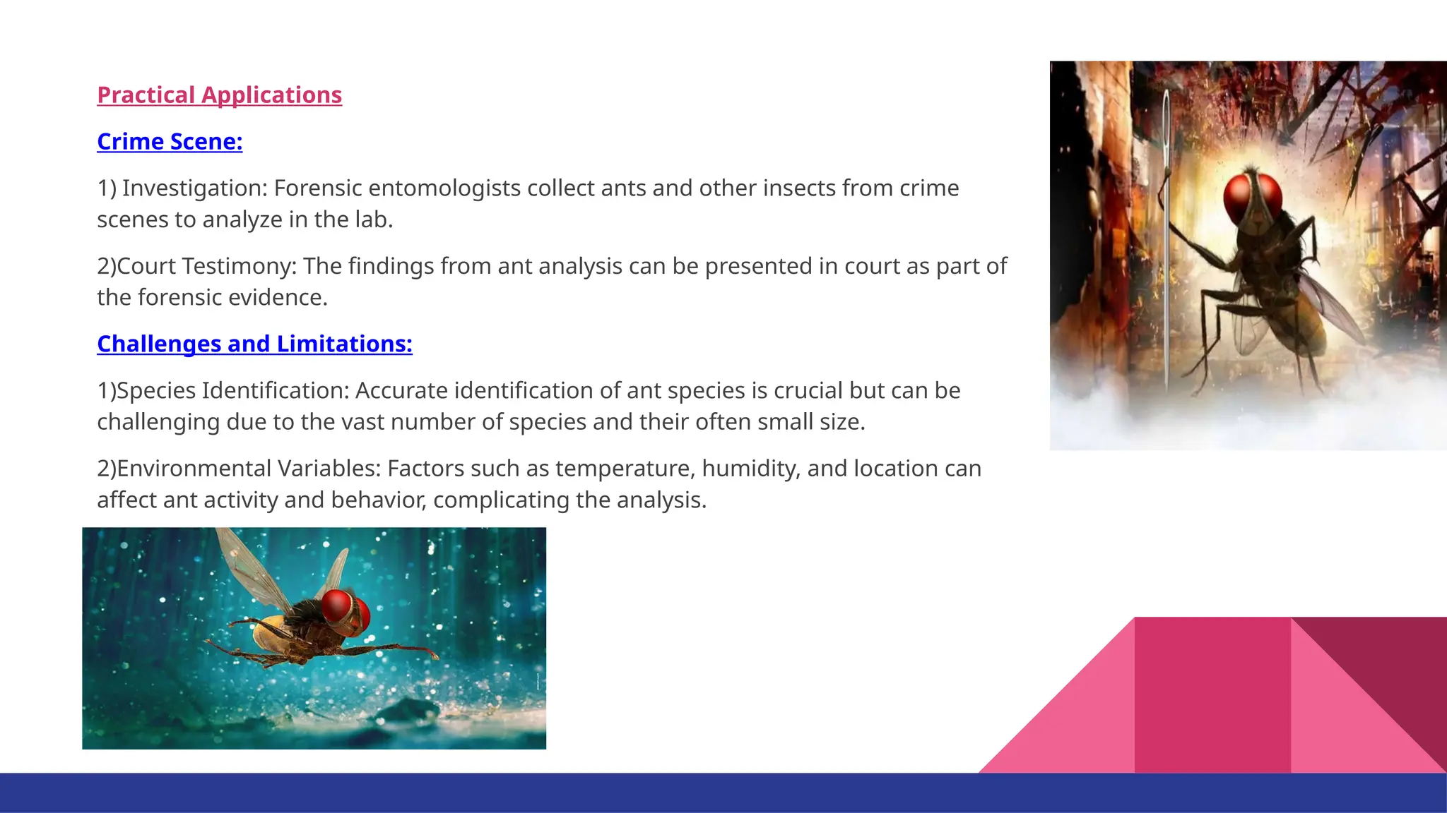 Forensic Entomology and insects & their lifecycles.pptx