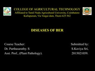 COLLEGE OF AGRICULTURAL TECHNOLOGY
Affiliated to Tamil Nadu Agricultural University, Coimbatore
Kullapuram, Via Vaigai dam, Theni-625 562
DISEASES OF BER
Course Teacher: Submitted by:
Dr. Parthasarathy. S S.Kaviya Sri,
Asst. Prof., (Plant Pathology). 2015021059.
 