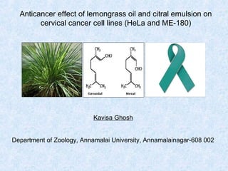 Anticancer effect of lemongrass oil and citral emulsion on 
cervical cancer cell lines (HeLa and ME-180) 
Kavisa Ghosh 
Department of Zoology, Annamalai University, Annamalainagar-608 002 
 