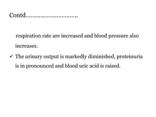 Contd…………………………..
respiration rate are increased and blood pressure also
increases.
 The urinary output is markedly diminished, proteinuria
is in pronounced and blood uric acid is raised.
 
