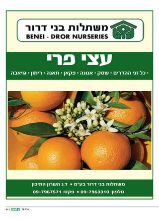 •
09-7967571

31 ||

16.1.14

• 09-7963310

 