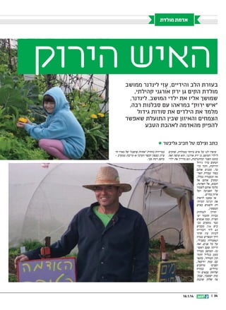 ‫אדמת מולדת‬

‫האיש הירוק‬
‫בעזרת הלב והידיים, ע ִּזי לינדנר ממושב‬
‫ֻ‬
‫מולדת הקים גן ירק אורגני קהילתי,‬
‫שמושך אליו את ילדי המושב. לינדנר,‬
‫איש ירוק במראהו עם סבלנות רבה,‬
‫מלמד את הילדים את סודות גידול‬
‫הצמחים והאיזון שבין התועלת שאפשר‬
‫להפיק מהאדמה לאהבת הטבע‬
‫כתב וצילם: טל חביב גליבטר ‪‬‬
‫סיפרו לנו על איש מיוחד ממולדת, שהקים‬
‫לילדי המושב גן ירק אורגני. הוא עושה זאת‬
‫בזמנו הפנוי ובהתנדבות, וגם מדריך את ילדי‬
‫המקום ברזי גידול‬
‫הירקות, ותוך כדי‬
‫כך, מכניס אותם‬
‫בסוד עבודת האד־‬
‫מה ובעבודה בכלל,‬
‫ומקרב אותם אל‬
‫הטבע, אל האדמה,‬
‫מלמד אותם לשמור‬
‫על הסביבה ועל‬
‫איזון בחיים.‬
‫אז נסענו לראות‬
‫את הגינה המיוח־‬
‫דת ולפגוש באיש‬
‫המסקרן.‬
‫הדרך למולדת‬
‫מכיוון התבור יפ־‬
‫הפייה. כמה אנשים‬
‫כבר נוסעים בכ־‬
‫ביש 617 מכביש‬
‫56 ליד דבורייה‬
‫לכיוון עין חרוד‬
‫דרך הכפרים טמרה‬
‫ונאעורה? בשבילי,‬
‫על כל פנים, זאת‬
‫הייתה פעם ראשו־‬
‫נה. המושב מבודד‬
‫מעט בגליל התח־‬
‫תון המזרחי, בתפר‬
‫עם עמק יזרעאל,‬
‫מרחבים‬
‫וסביבו‬
‫במזרח‬
‫גדולים:‬
‫שלוחת צבאים ור־‬
‫מות יששכר, שבק־‬
‫צה שלהן שוכנת‬

‫43 ||‬

‫41.1.61‬

‫בבדידות מזהרת אחוזת שושנה של מאיר הר‬
‫ציון; מצפון הכפר הערבי א-טייבה; ממערב –‬
‫מושב רמת צבי.‬

 