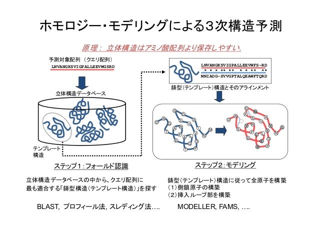 All In One2016 ゲノム配列と蛋白質立体構造の統合的検索とモデリング