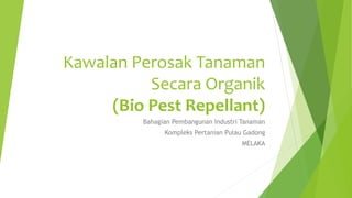 Kawalan Perosak Tanaman
Secara Organik
(Bio Pest Repellant)
Bahagian Pembangunan Industri Tanaman
Kompleks Pertanian Pulau Gadong
MELAKA
 