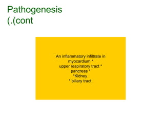 Pathogenesis (cont.) An inflammatory infiltrate in * myocardium * upper respiratory tract * pancreas *Kidney  * biliary tract  