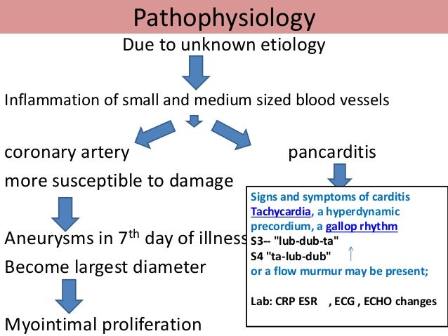 blood is thicker than water meaning essay