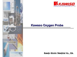川惣電機工業株式会社
　　 Kawaso Oxygen ProbeKawaso Oxygen Probe
Kawaso Electric Industrial Co., Ltd.Kawaso Electric Industrial Co., Ltd.
KAWASO ELECTRIC INDUSTRIAL CO., LTD.
 