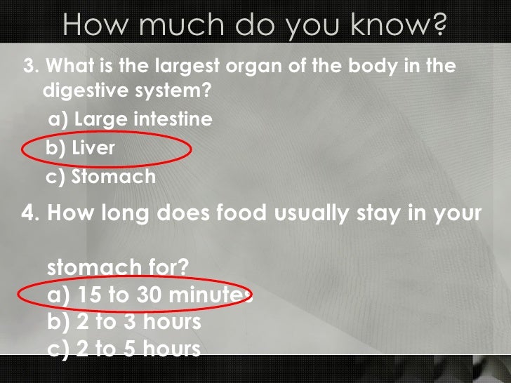 The Digestive System