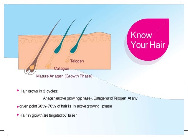 Permanent Hair Reduction Freedom From Monthly Waxing