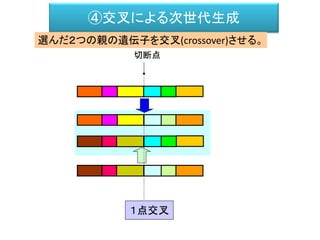 ④交叉による次世代生成
遺伝子
１点交叉
切断点
選んだ２つの親の遺伝子を交叉(crossover)させる。
 