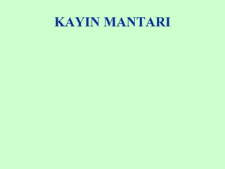 KAYIN MANTARI
 