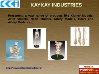 KAYKAY INDUSTRIES
Presenting a vast range of products like Kidney Models,
Joint Models, Heart Models, Artery Models, Heart and
Artery Models etc.

http://www.anatomicalmodel.org/

 