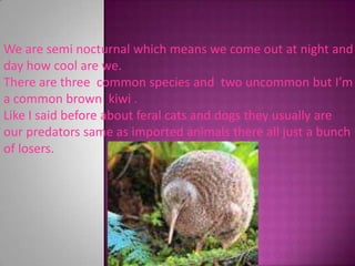 We are semi nocturnal which means we come out at night and day how cool are we.There are three  common species and  two uncommon but I’m a common brown  kiwi .Like I said before about feral cats and dogs they usually are our predators same asimported animals there all just a bunch of losers.