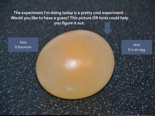 The experiment I’m doing today is a pretty cool experiment .
Would you like to have a guess?This picture OR hints could help
you figure it out.
Hint
It bounces
Hint
It is an egg
 