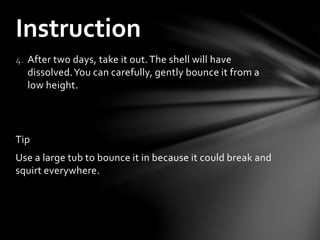 4. After two days, take it out.The shell will have
dissolved.You can carefully, gently bounce it from a
low height.
Tip
Use a large tub to bounce it in because it could break and
squirt everywhere.
Instruction
 