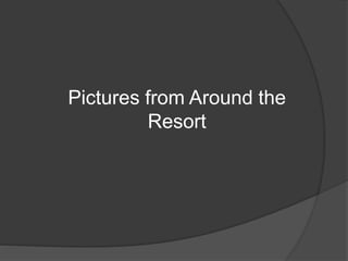 Pictures from Around the
Resort
 