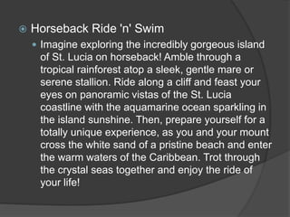  Horseback Ride 'n' Swim
 Imagine exploring the incredibly gorgeous island
of St. Lucia on horseback! Amble through a
tropical rainforest atop a sleek, gentle mare or
serene stallion. Ride along a cliff and feast your
eyes on panoramic vistas of the St. Lucia
coastline with the aquamarine ocean sparkling in
the island sunshine. Then, prepare yourself for a
totally unique experience, as you and your mount
cross the white sand of a pristine beach and enter
the warm waters of the Caribbean. Trot through
the crystal seas together and enjoy the ride of
your life!
 