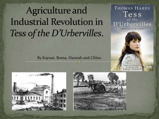 Agriculture and Industrial Revolution in Tess of the D’Urbervilles. By Kaynat, Resna, Hannah and Chloe.  