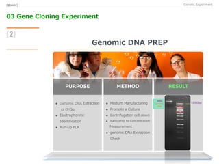 03 Gene Cloning Experiment
Genetic Experiment[BIO★KAY]
PURPOSE
 Genomic DNA Extraction
of DH5α
 Electrophoretic
Identification
 Run-up PCR
METHOD
 Medium Manufacturing
 Promote a Culture
 Centrifugation cell down
 Nano drop to Concentration
Measurement
 genomic DNA Extraction
Check
RESULT
[2]
Genomic DNA PREP
10000bp
DH5α
Genomic
DNA
 