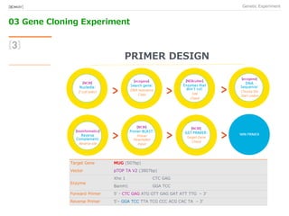 03 Gene Cloning Experiment
Genetic Experiment[BIO★KAY]
[3]
PRIMER DESIGN
Target Gene MUG (507bp)
Vector pTOP TA V2 (3807bp)
Enzyme
Xho 1 CTC GAG
BamH1 GGA TCC
Forward Primer 5’ - CTC GAG ATG GTT GAG GAT ATT TTG – 3’
Reverse Primer 5’– GGA TCC TTA TCG CCC ACG CAC TA – 3’
[NCBI]
Nucledie:
E-coli select
WIN PRIMER
[bioinformatics]
Reverse
Complement:
Reverse site
[NCBI]
Primer-BLAST:
Primer
Parameters
Input
[NCBI]
GET PRIMER:
Target Gene
Check
[ecogene]
Search gene:
DNA Sequence
Copy
[NEBcutter]
Enzymes that
don’t cut:
Site
Check
[ecogene]
DNA
Sequence:
Choose the
Start codon
 
