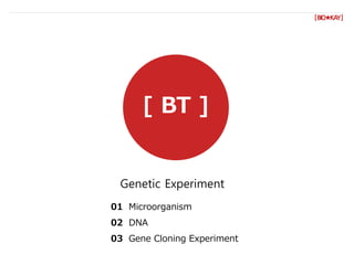 [ BT ]
Genetic Experiment
[BIO★KAY]
01 Microorganism
02 DNA
03 Gene Cloning Experiment
 