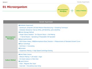 01 Microorganism
Genetic Experiment
DNA Manipulation DNA CLONING
[BIO★KAY]
Genetic Experiment
Microorganism
Managing
■Antibiotic Experiment
- kanamycin, ampicillin LB Solid Medium Manufacturing ⇒ Streaking Technique
- Antibiotic Resistance Test by DH5α, pET28/DH5α, pCU118/DH5α
■Strain Storage Method
- Single Colony Isolation : for Glycerol Stock + Vial Making
⇒ Serial Dilution : Spreading of Disposable Cell Spreader
■Spectrophotometer
- BCA Protein Assay / BPB[Bromophenol Blue] Solution ⇒ Measurement of Standard Growth Curve
■Micro Centrifuge
- Cell Down ⇒ harvesting
■Sonicator
- Suspension Making ⇒ High-Speed Centrifuge Sorting
Culture Method
■Solid State Culture
- Medium Making ⇒ LB media + Agar
- Put Solid medium in Petri Dish
■Liquid Culture
- Flask : Magnetic Bar Input
- Cap-tube : Inoculating Loop Using
Microorganism
Managing
Culture Method
 