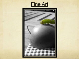 Fine Art
 