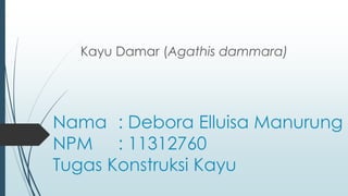 Nama : Debora Elluisa Manurung
NPM : 11312760
Tugas Konstruksi Kayu
Kayu Damar (Agathis dammara)
 