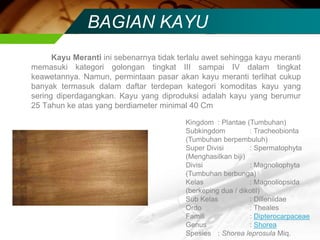 BAGIAN KAYU
Kayu Meranti ini sebenarnya tidak terlalu awet sehingga kayu meranti
memasuki kategori golongan tingkat III sampai IV dalam tingkat
keawetannya. Namun, permintaan pasar akan kayu meranti terlihat cukup
banyak termasuk dalam daftar terdepan kategori komoditas kayu yang
sering diperdagangkan. Kayu yang diproduksi adalah kayu yang berumur
25 Tahun ke atas yang berdiameter minimal 40 Cm
Kingdom : Plantae (Tumbuhan)
Subkingdom : Tracheobionta
(Tumbuhan berpembuluh)
Super Divisi : Spermatophyta
(Menghasilkan biji)
Divisi : Magnoliophyta
(Tumbuhan berbunga)
Kelas : Magnoliopsida
(berkeping dua / dikotil)
Sub Kelas : Dilleniidae
Ordo : Theales
Famili : Dipterocarpaceae
Genus : Shorea
Spesies : Shorea leprosula Miq.
 