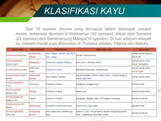 KLASIFIKASI KAYU
Dari 70 spesies Shorea yang termasuk dalam kelompok meranti
merah, terbanyak dijumpai di Kalimantan (62 spesies), diikuti oleh Sumatra
(23 spesies) dan Semenanjung Malaya(19 spesies). Di luar wilayah-wilayah
itu, meranti merah juga ditemukan di Thailand selatan, Filipina dan Maluku.
 