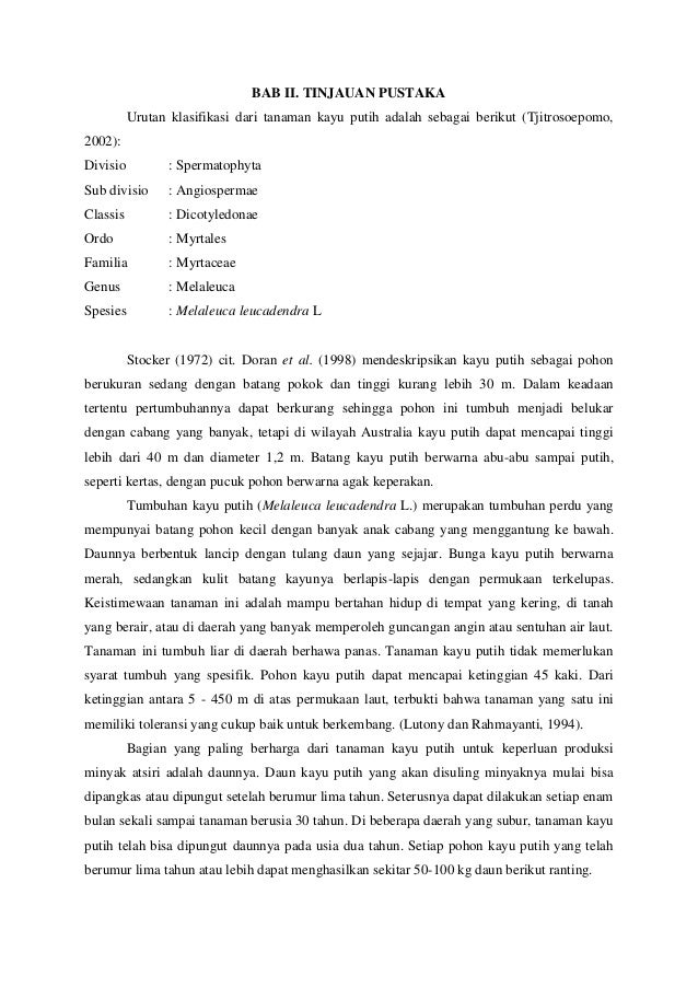 Makalah Kayu  putih 