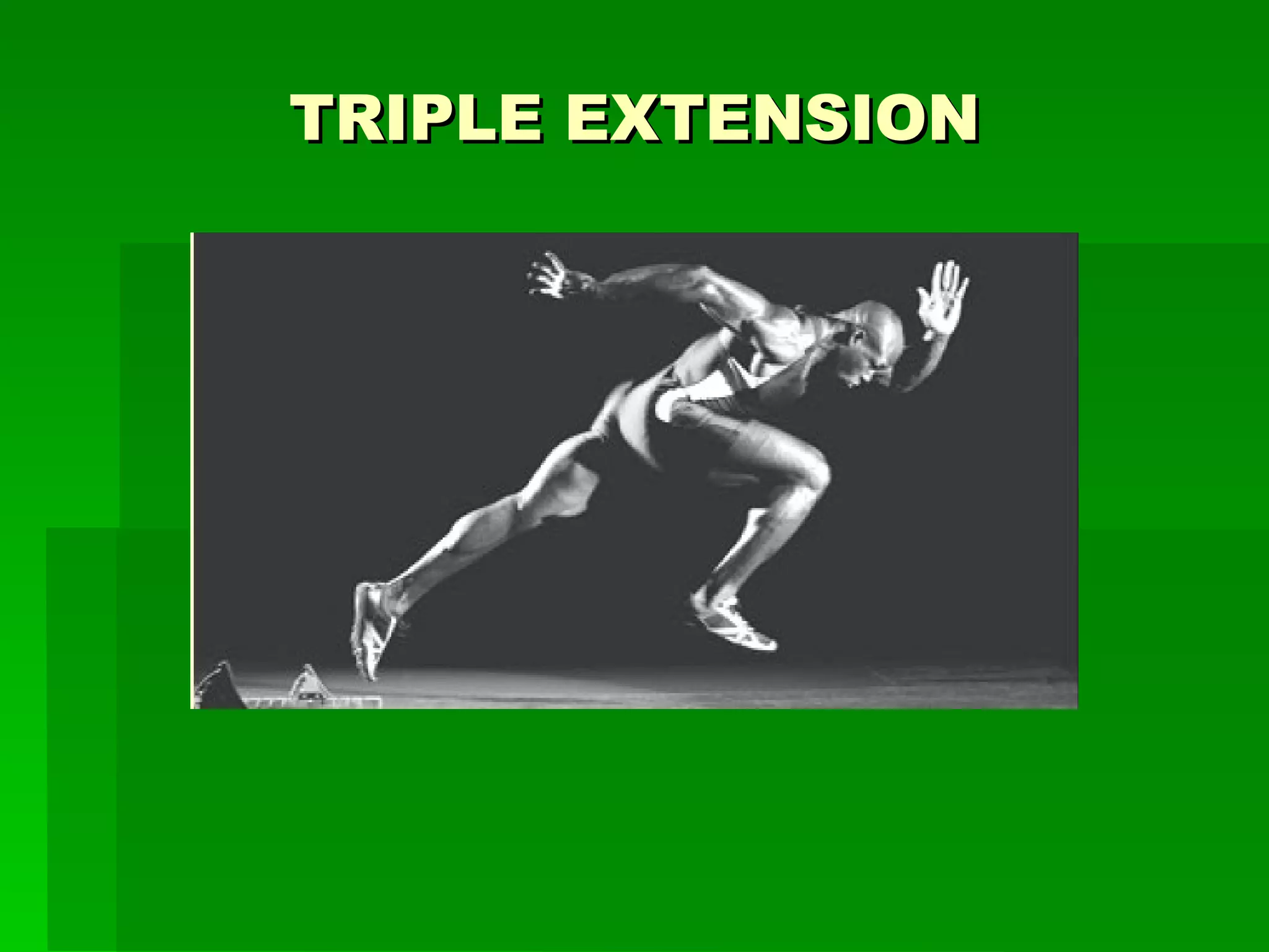TRIPLE EXTENSION 